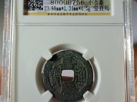 嘉庆通宝背阿克苏雕母
