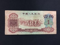 一角枣红背绿价格