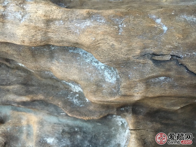风干后15.5斤，全长大概1.