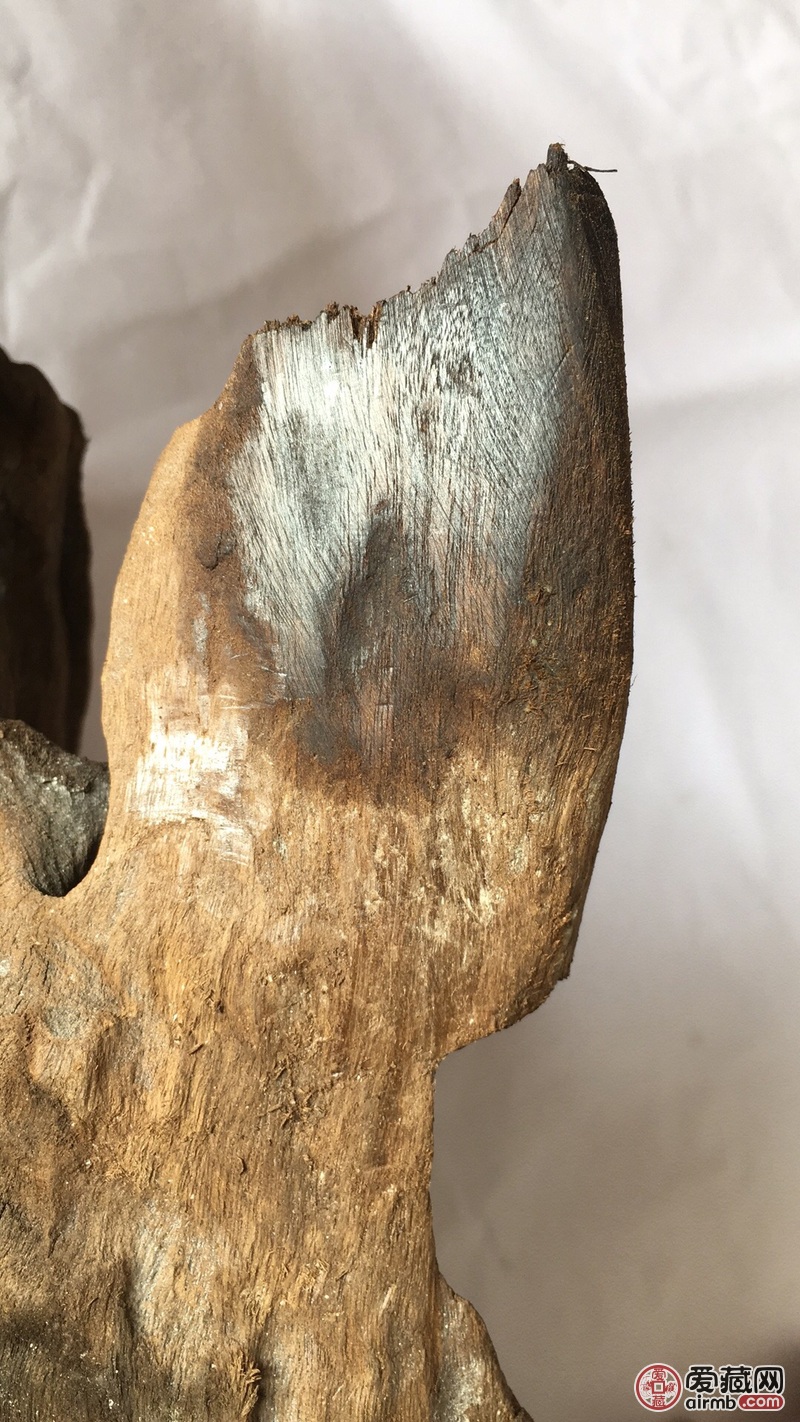 风干后15.5斤，全长大概1.