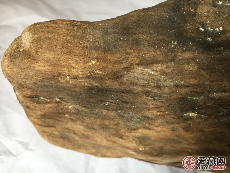 风干后15.5斤，全长大概1.