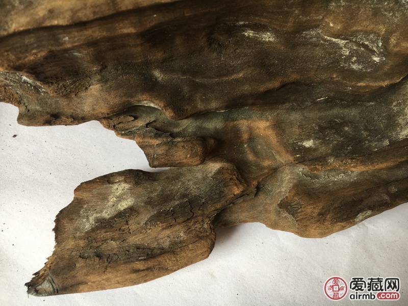 风干后15.5斤，全长大概1.