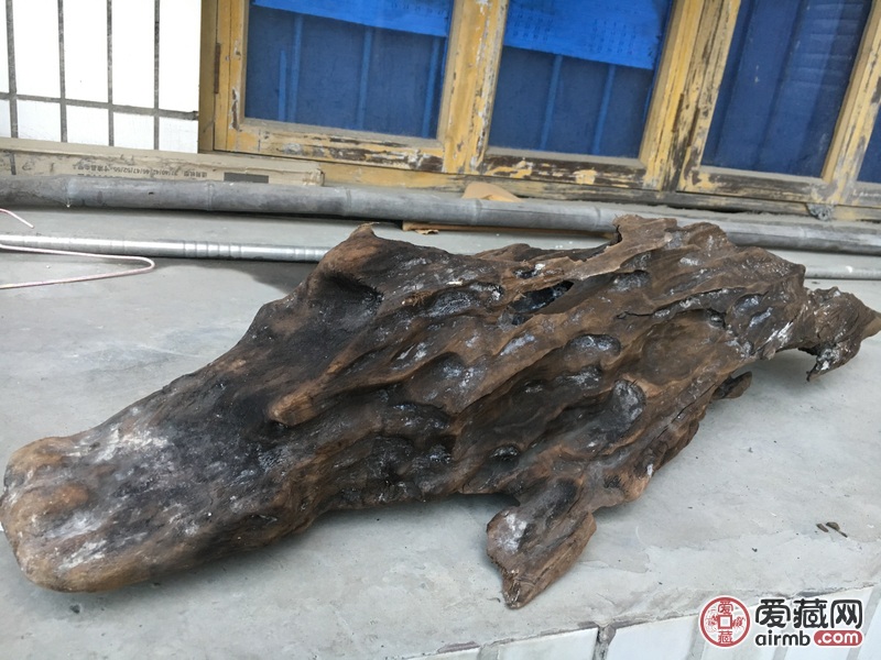 风干后15.5斤，全长大概1.