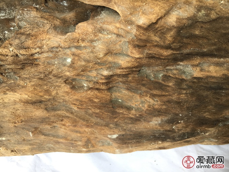 风干后15.5斤，全长大概1.