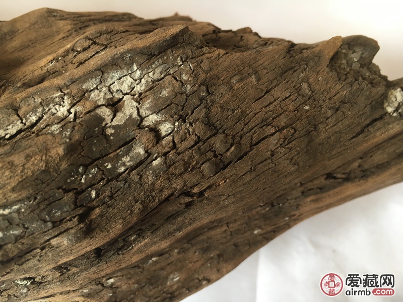 风干后15.5斤，全长大概1.