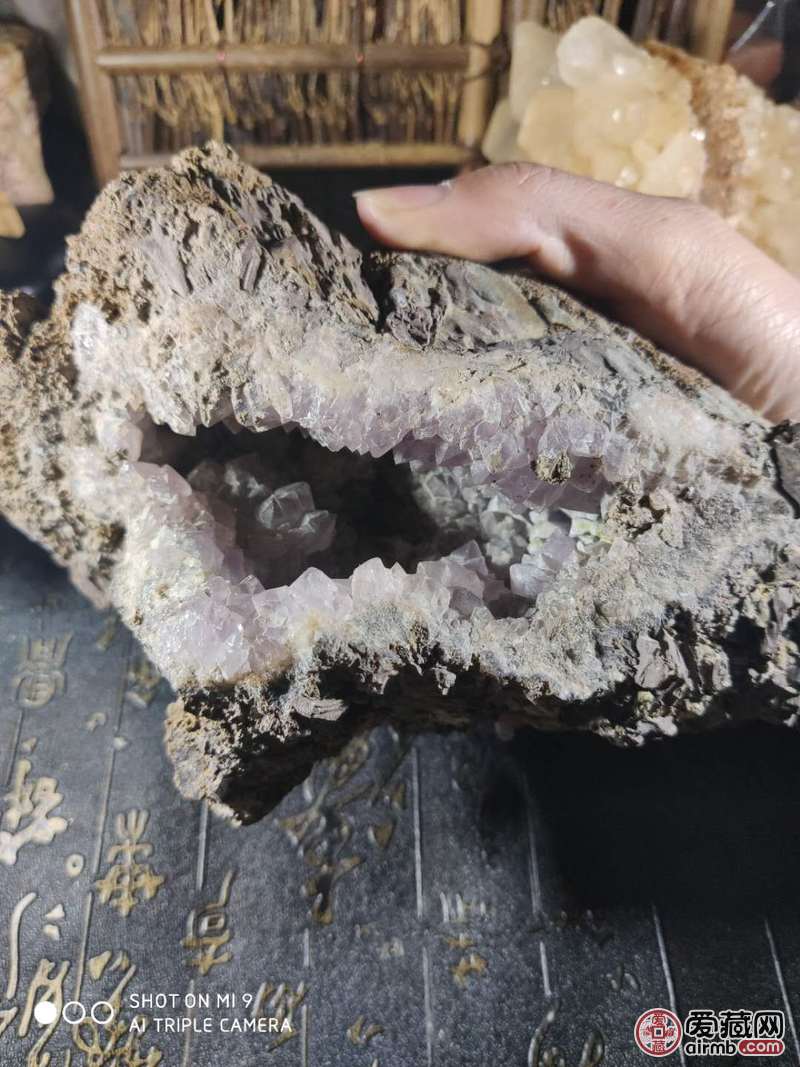 客户专拍