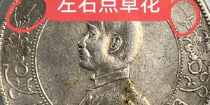 孙小头出头圆点草版价格 最新价格