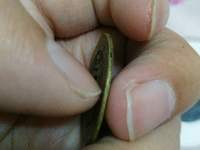 天启通宝背上十存世量