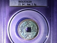天盛元宝背西金币