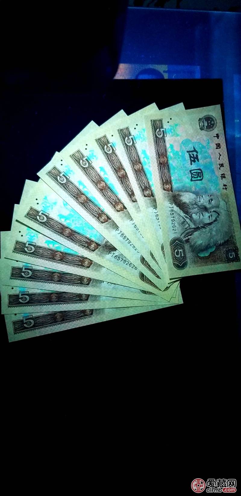 805稀缺荧光五彩苍松,一组标