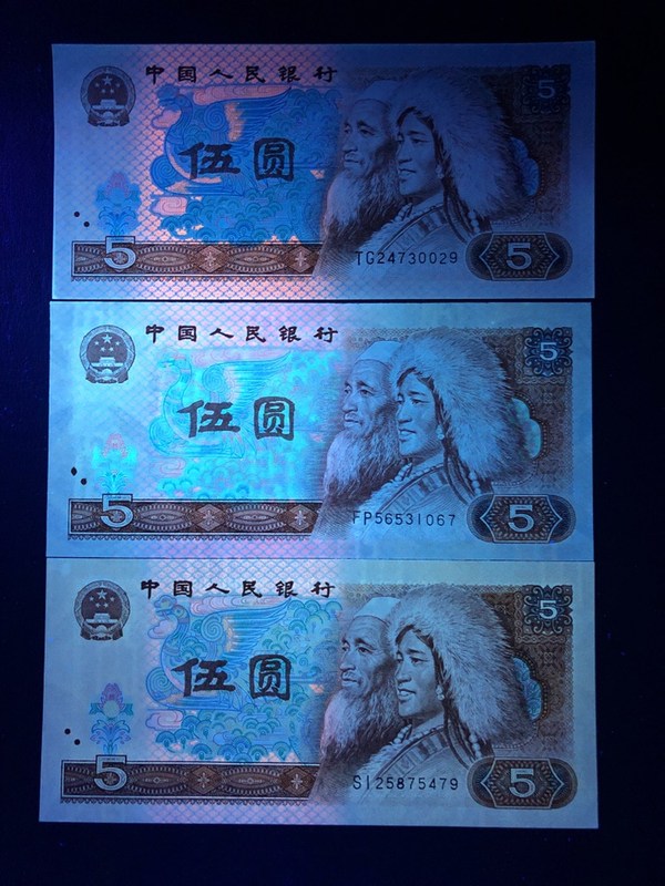 【0元起拍】 805 三种荧光.大热门品种 "苍松