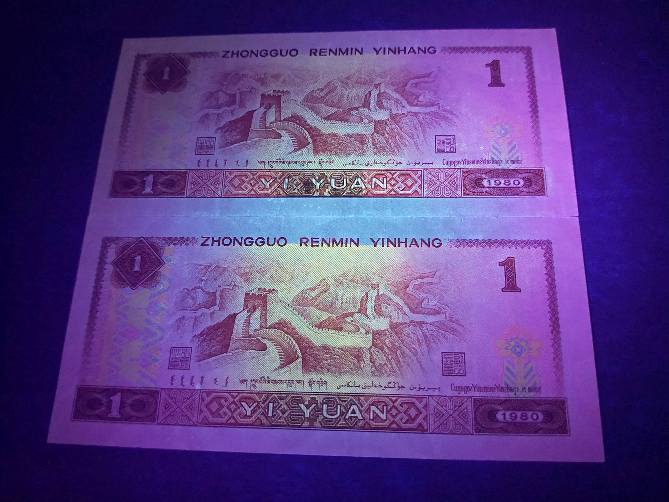 801珍稀金龙王白金钻石稀冠by两连号实物拍摄按
