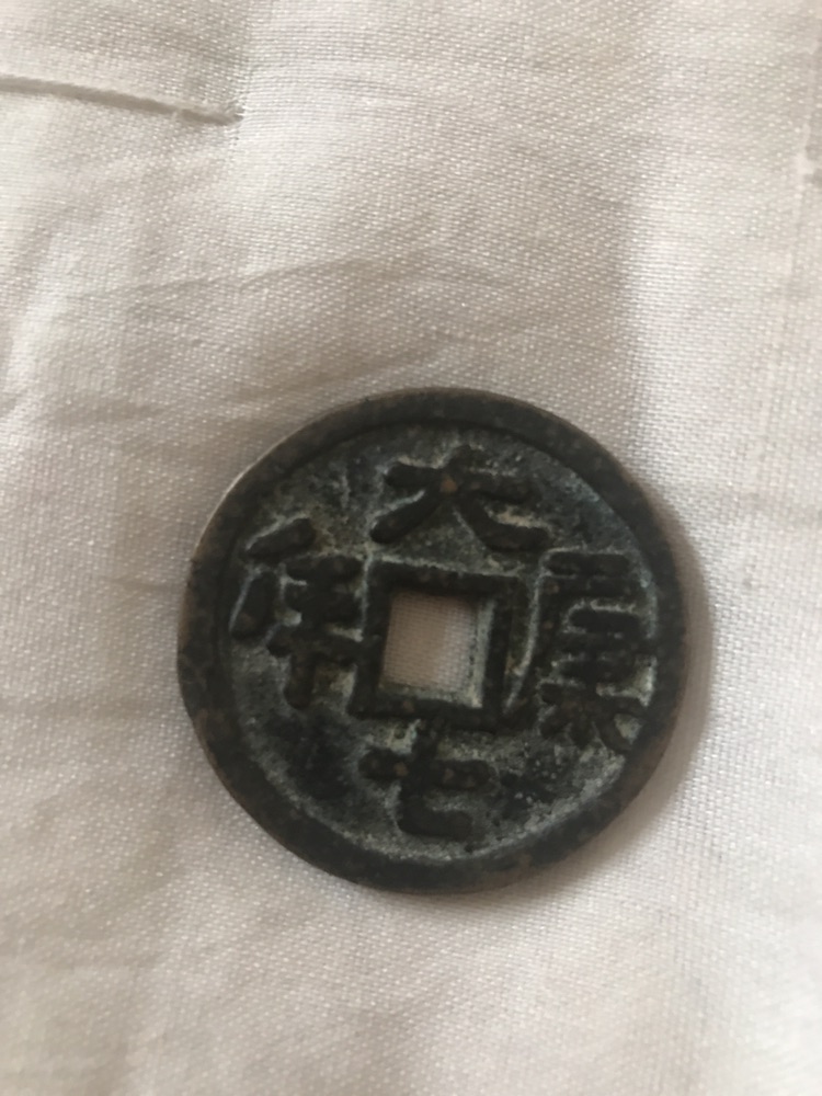 大七康年铜币!