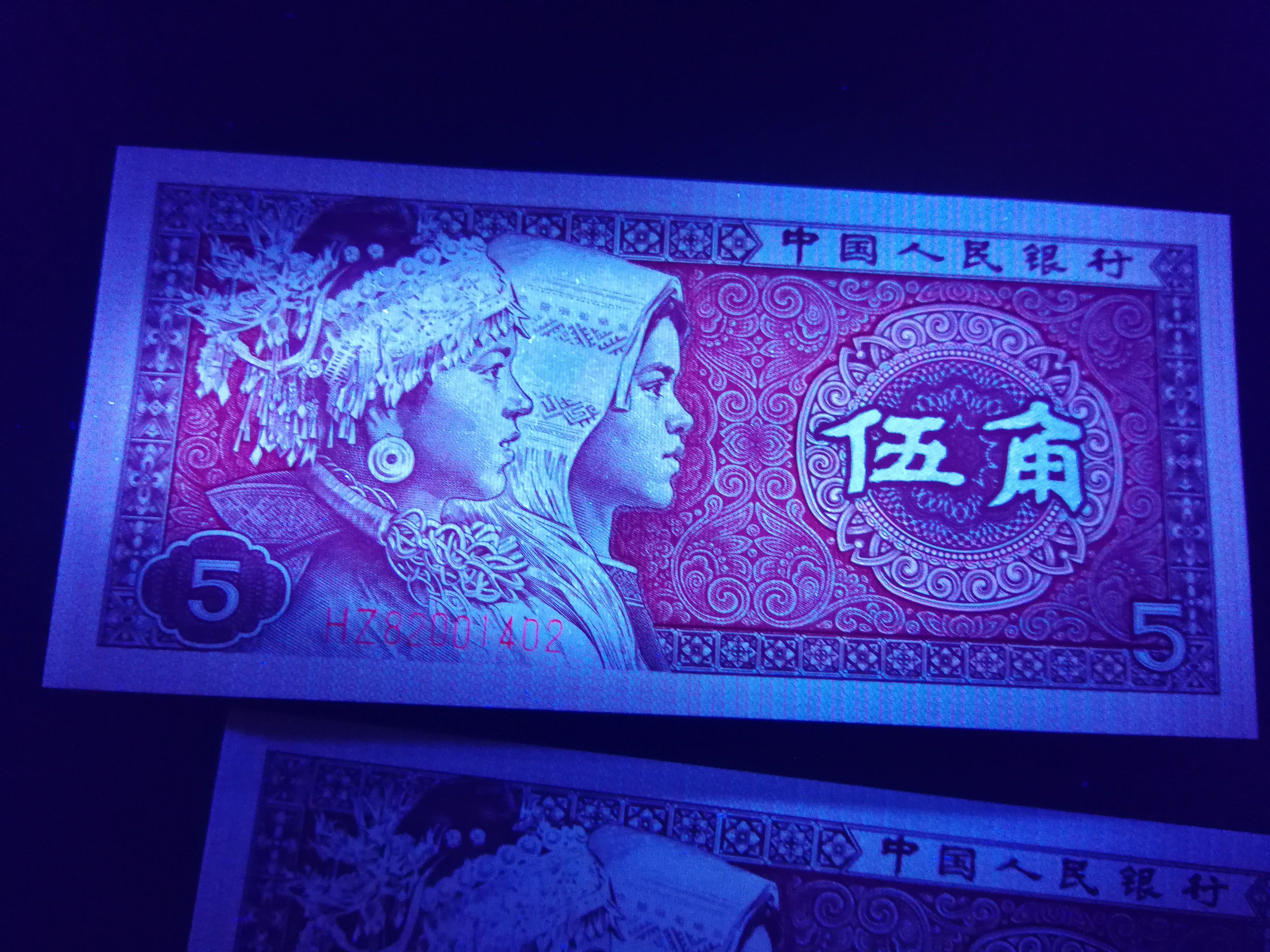 8005第一大组早期冠hz82