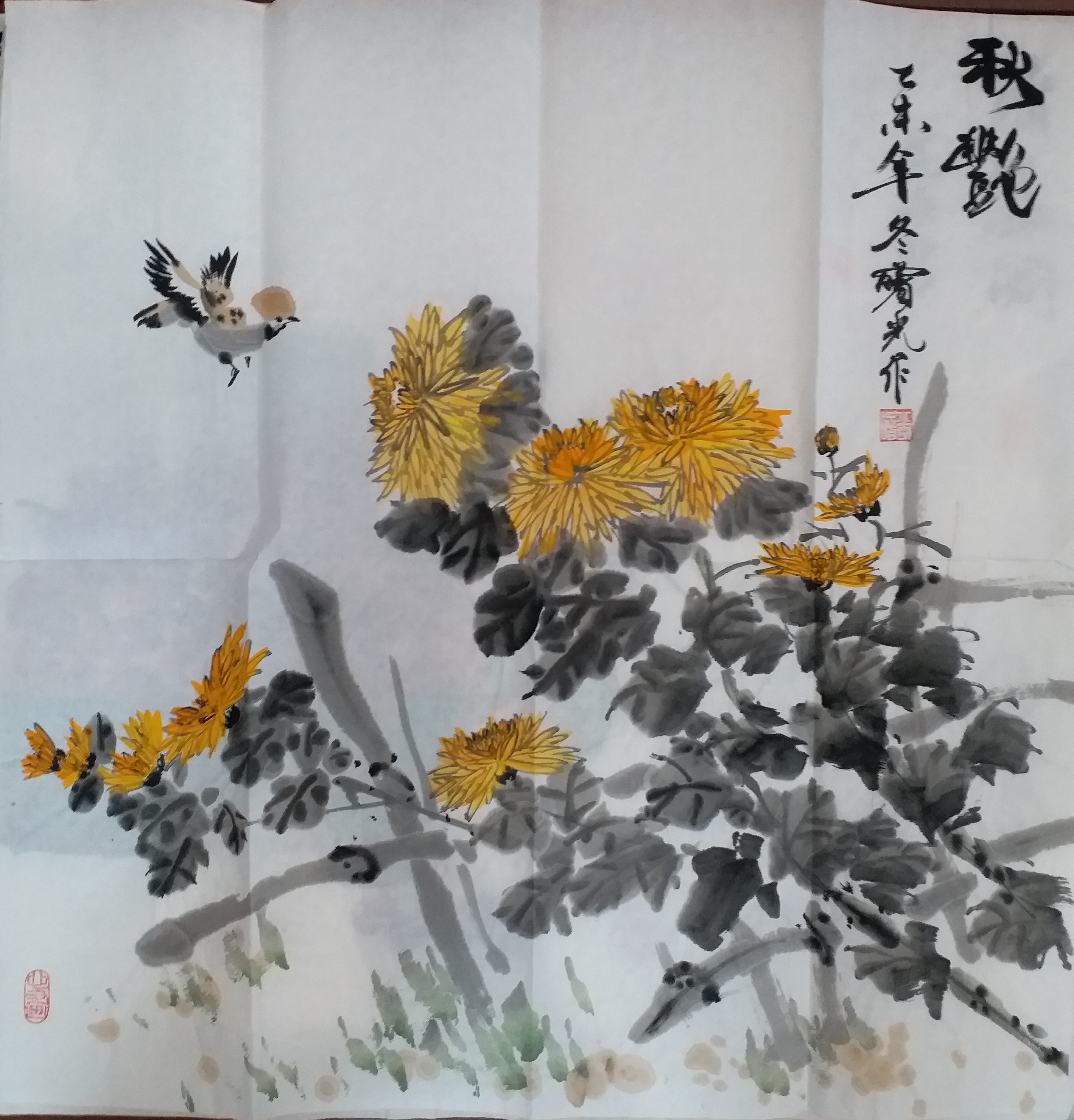 国画作品四尺斗方菊花