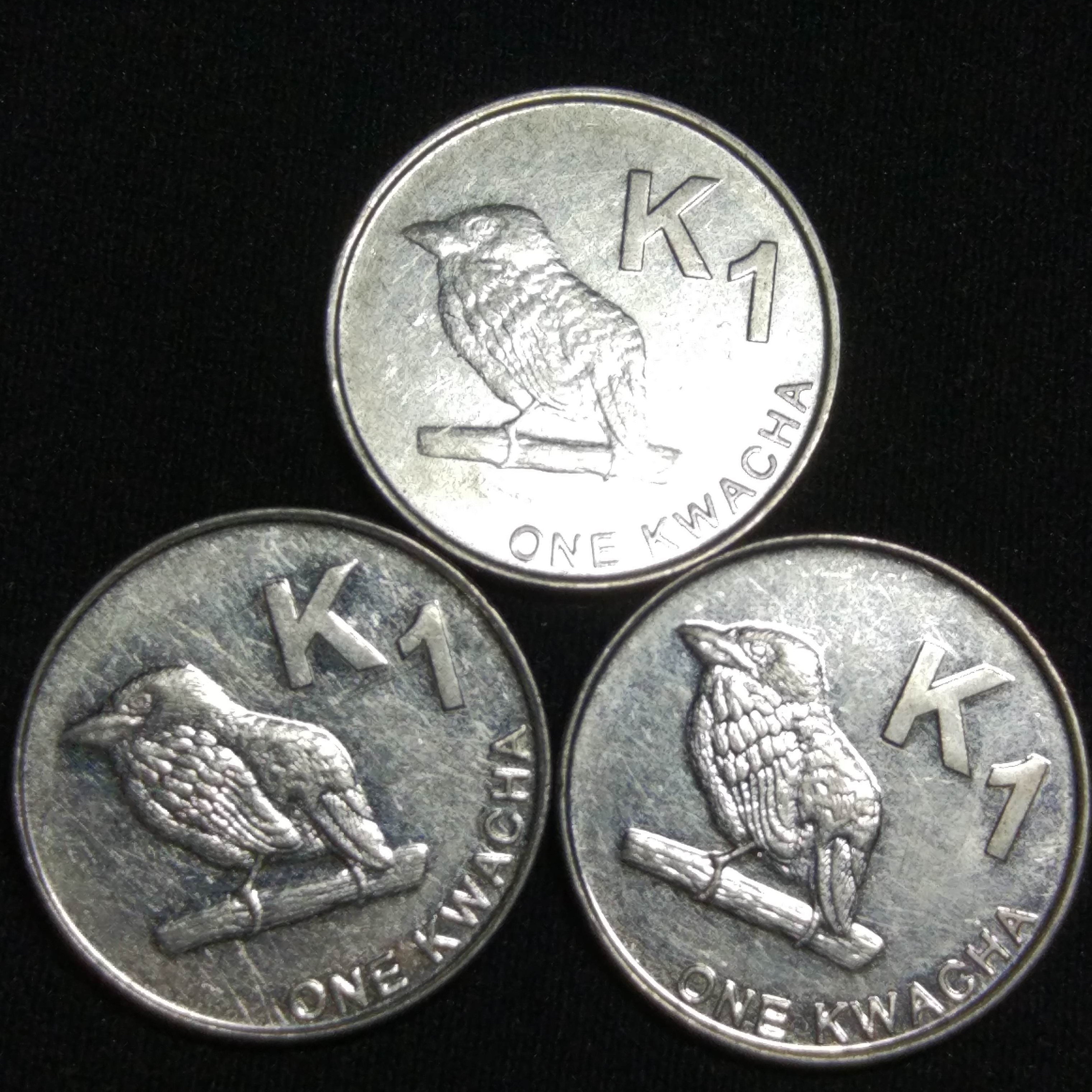 特价批发稀少赞比亚高值小鸟硬币