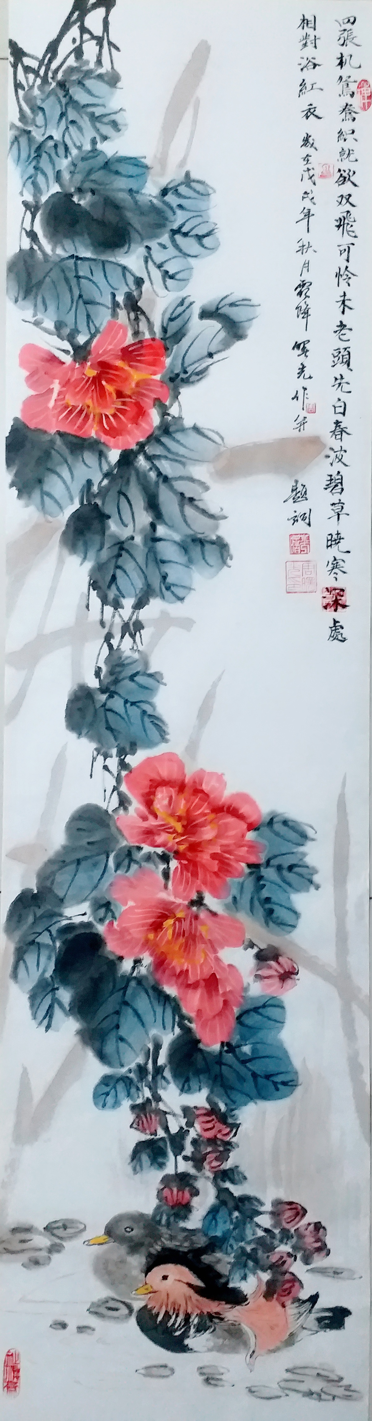 国画芙蓉鸳鸯