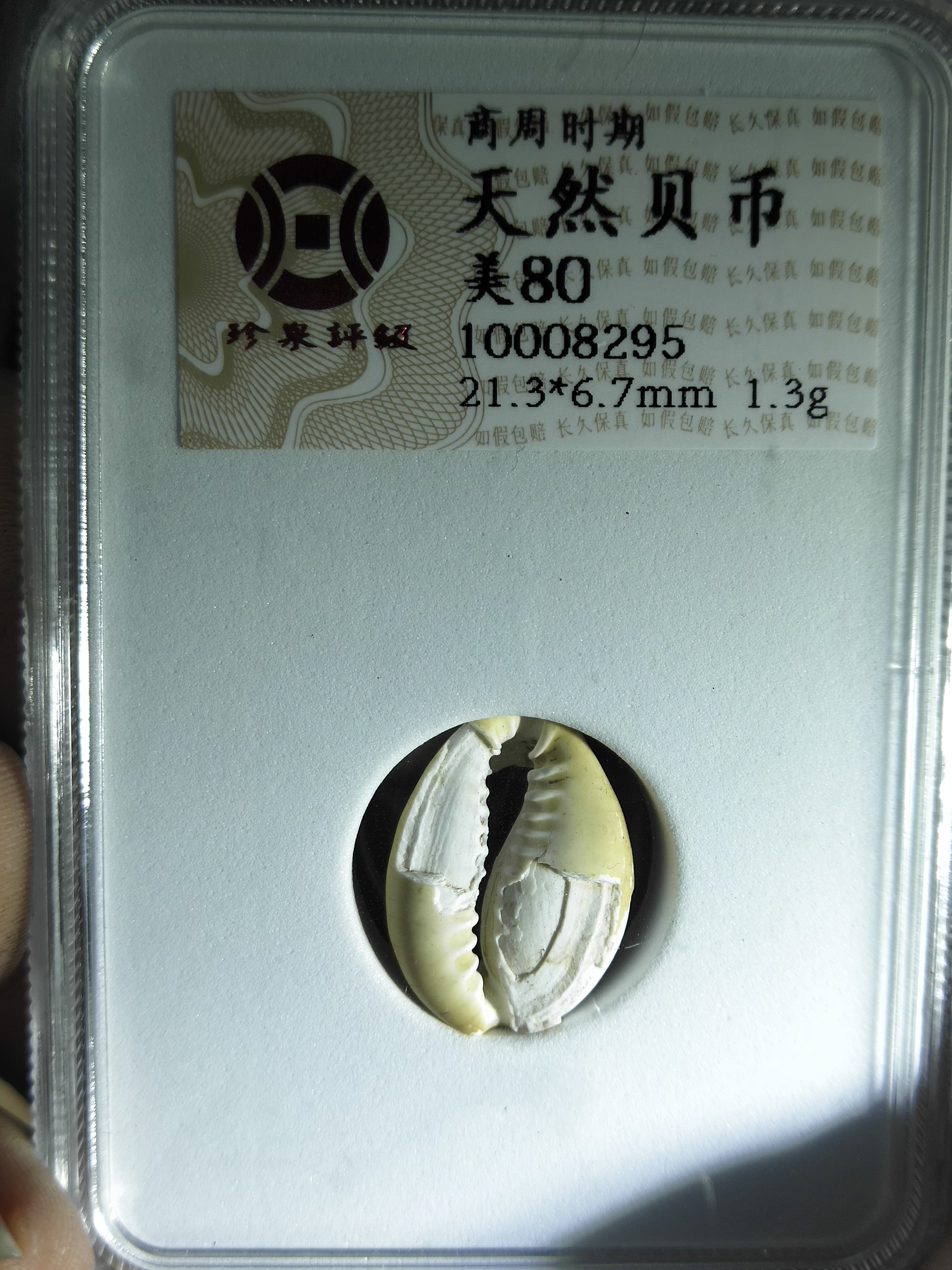 名称商周时期少见贝币尺寸状态绝品美真假_图片_价格_评级-3版币-爱藏