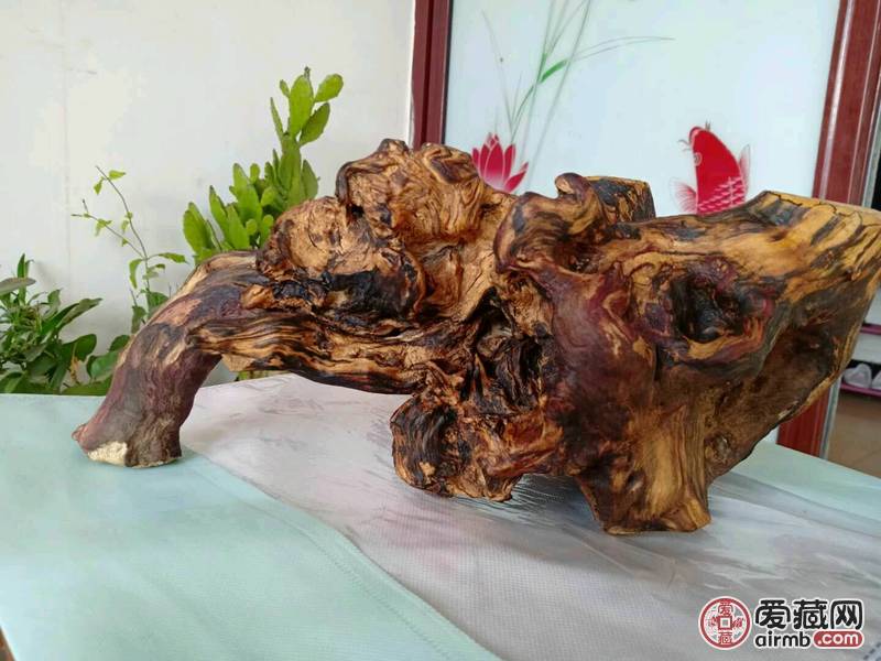 枣木根瘤 用于摆件，和奇石底座