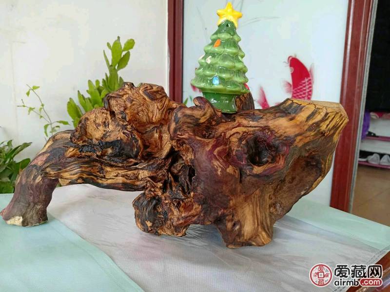 枣木根瘤 用于摆件，和奇石底座