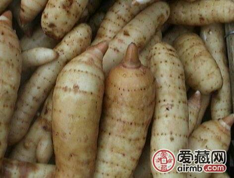 秦岭野生天麻<br /><br