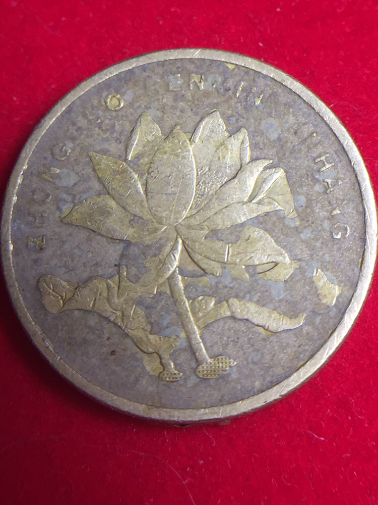 荷花五角 错币 齿部双眼皮 夹