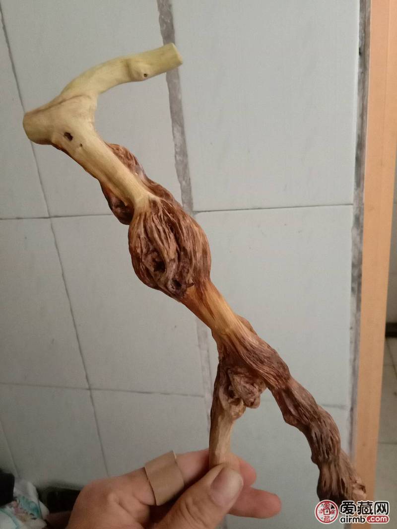 深山老藤，几十年生老藤一根，可