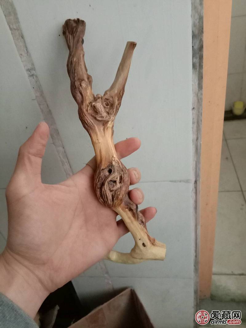深山老藤，几十年生老藤一根，可