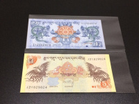 2000年塑料龙钞