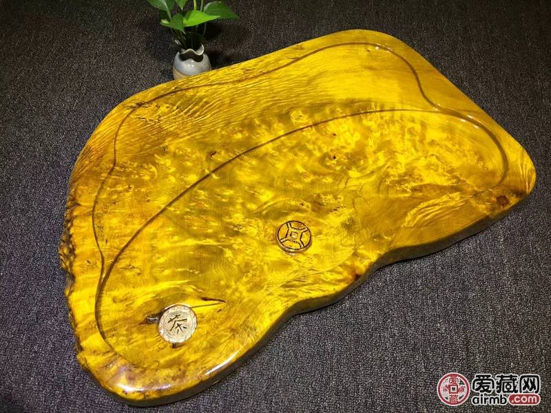 缅甸国宝黄金樟<br />尺寸