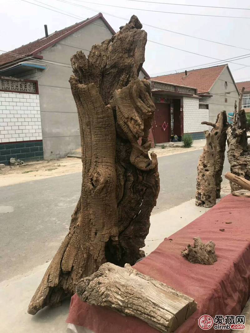 超级风化大古树