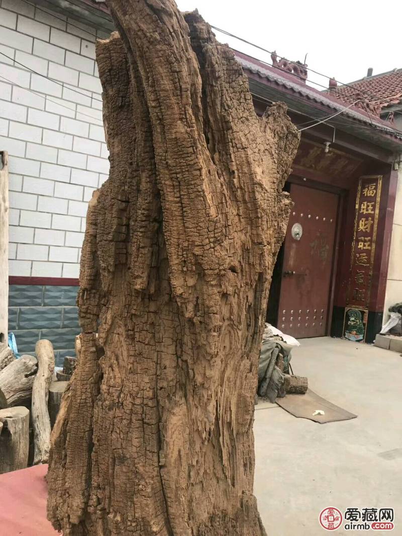 超级风化大古树
