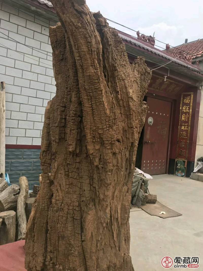 超级风化大古树