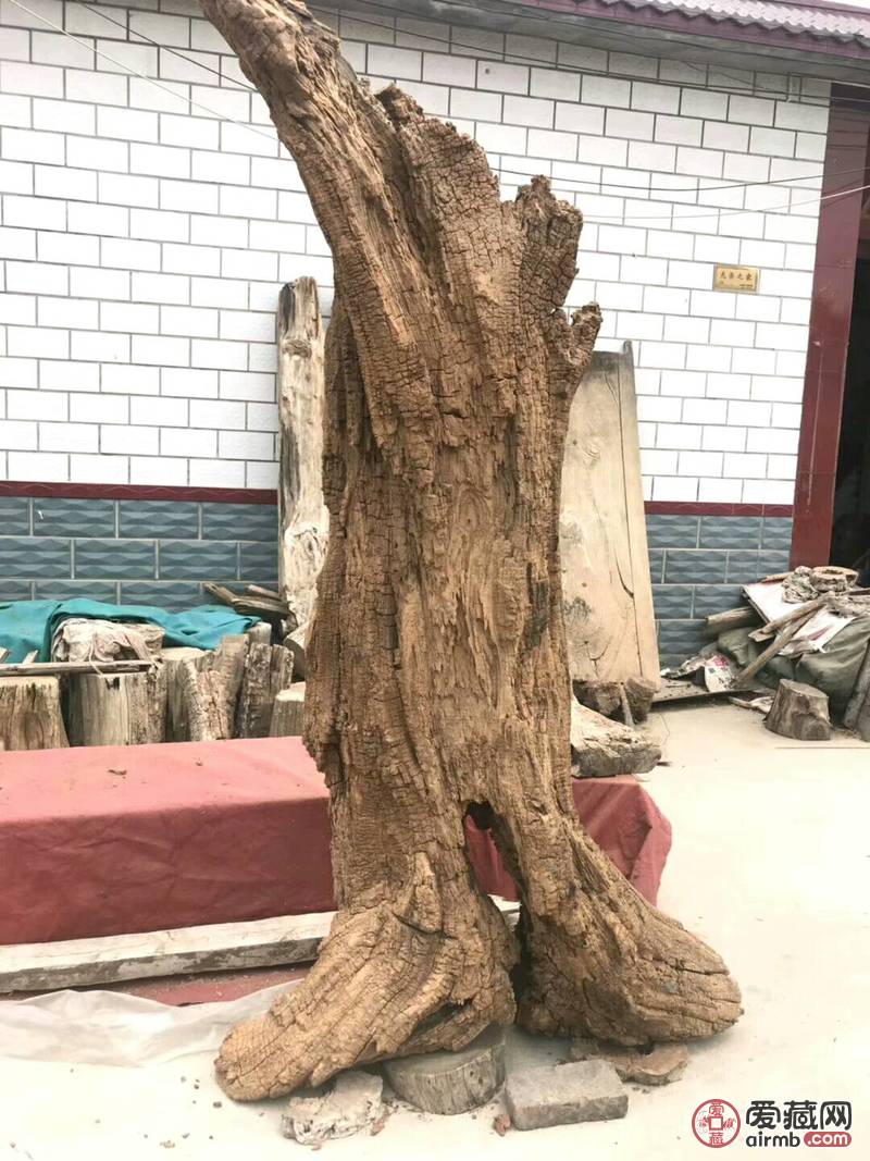超级风化大古树