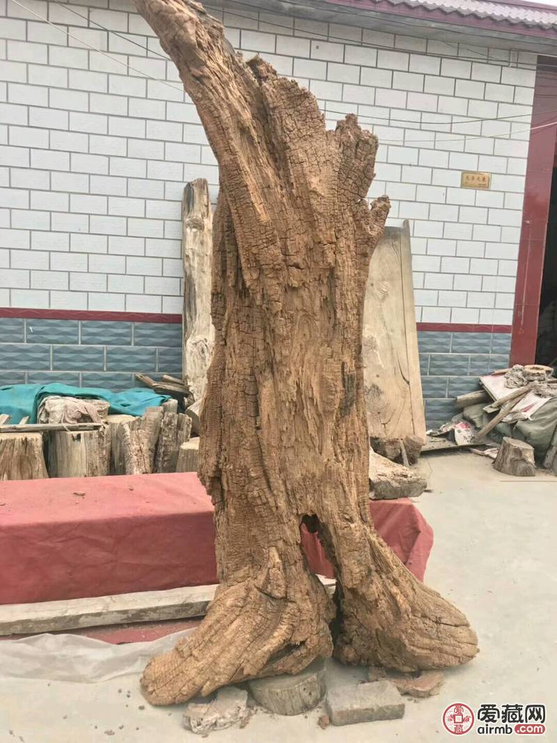 超级风化大古树