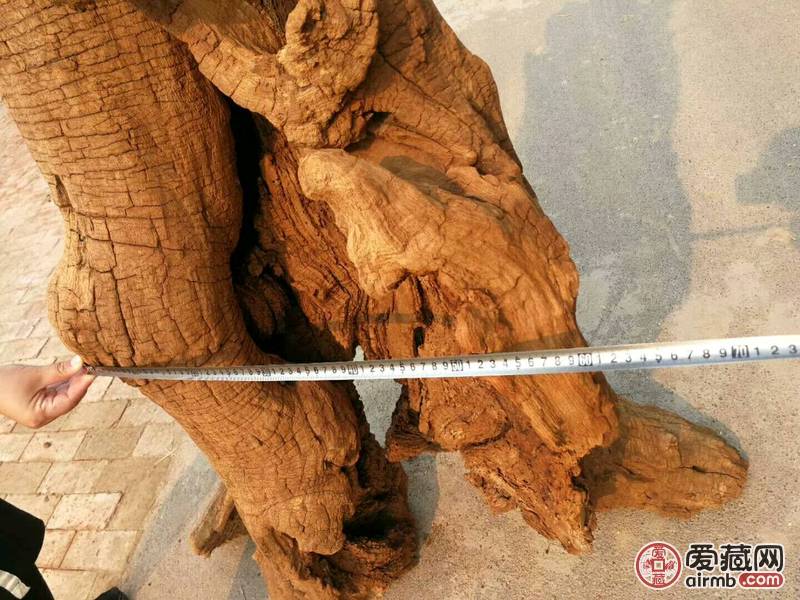 千年风化 槐木