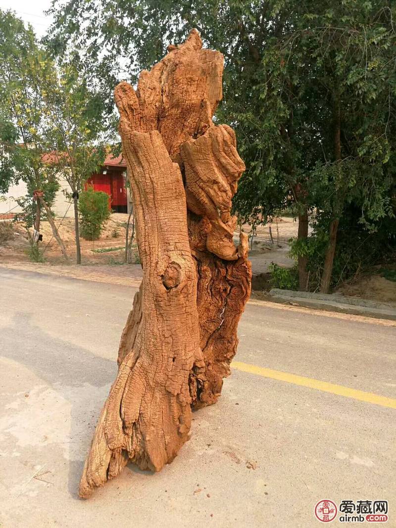 千年风化 槐木
