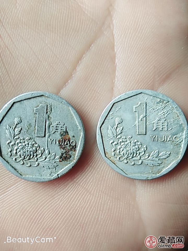 流通菊花一角多肉币,星雨币两枚