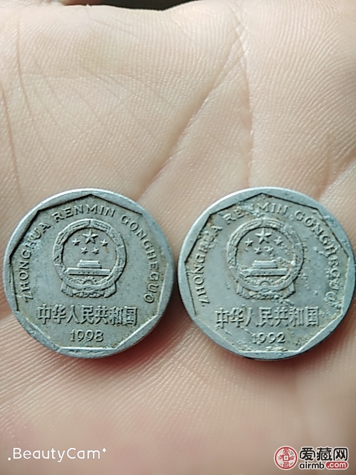 流通菊花一角多肉币,星雨币两枚
