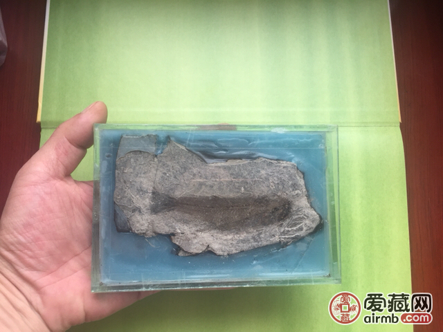 无托底价起拍:远古生物化石一块