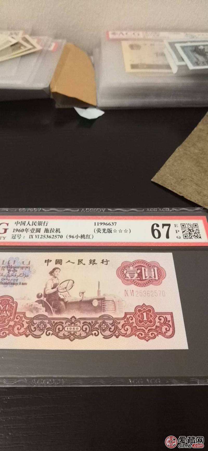 96冠小桃红25362570荧