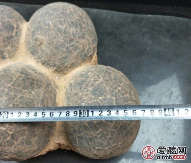 恐龙蛋化石,保证真品,此藏品来