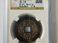 兴朝通宝背一分真品图