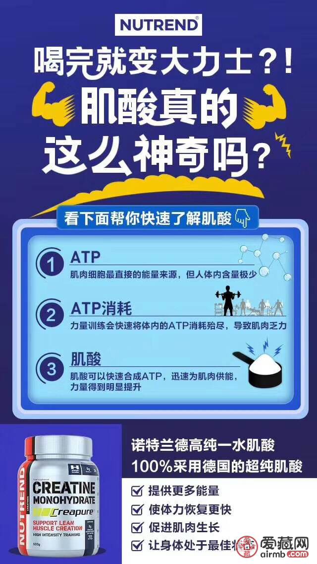 品牌：诺特兰德肌酸<br />