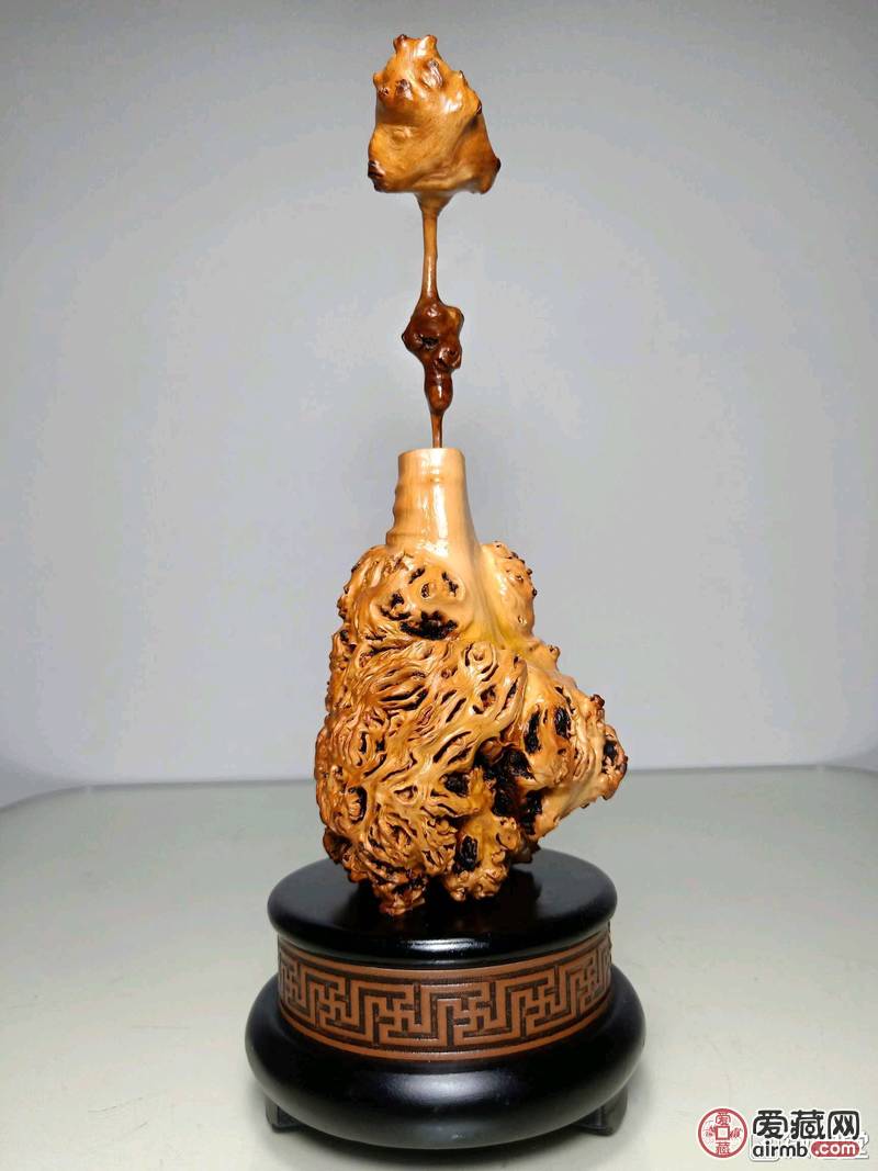 黑果木一枝独秀<br />[品