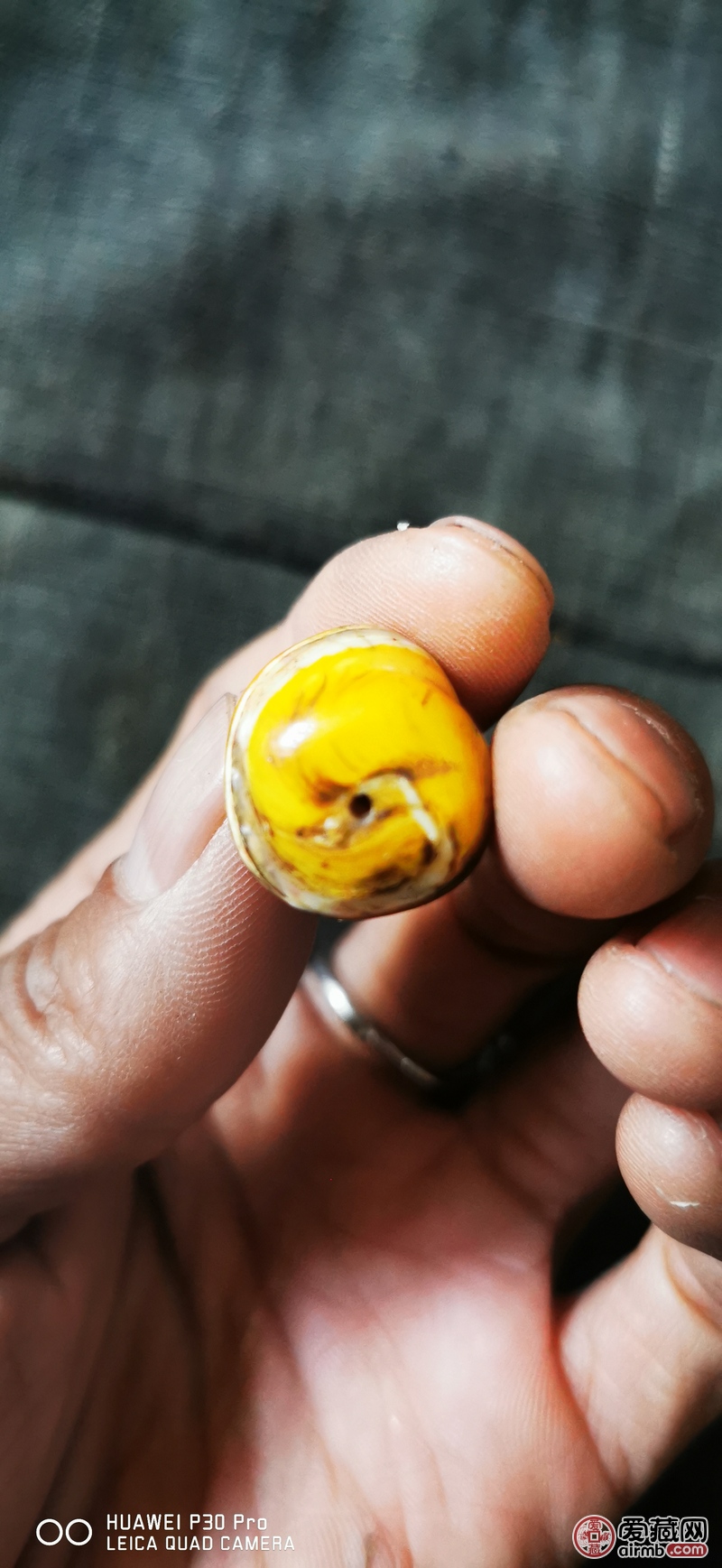老金丝砗磲，朝珠上的配饰