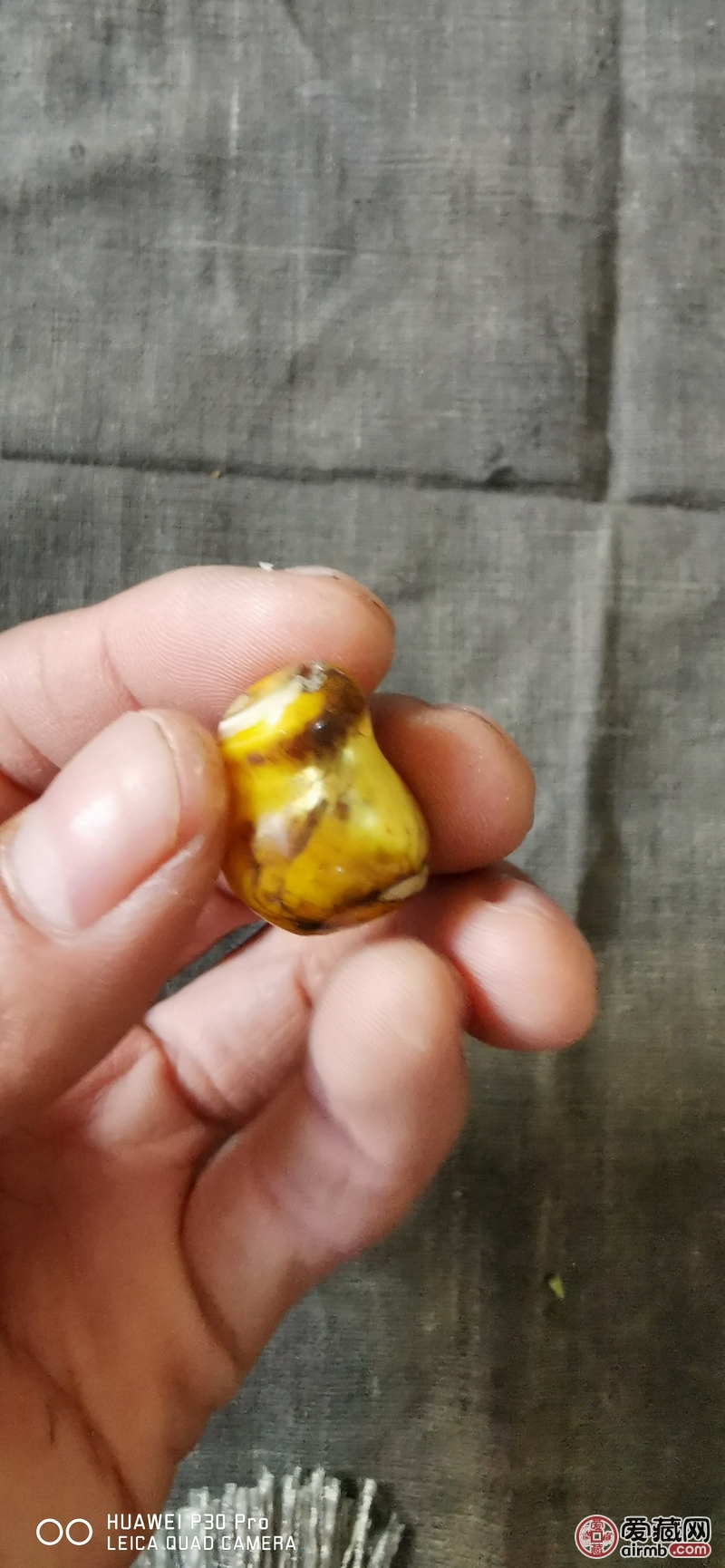 老金丝砗磲，朝珠上的配饰