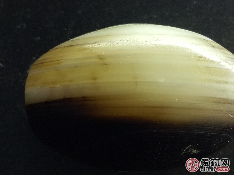 贝壳件<br />4.5mm~