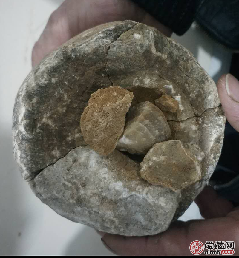 恐龙蛋化石，出于贵州省贞丰县，