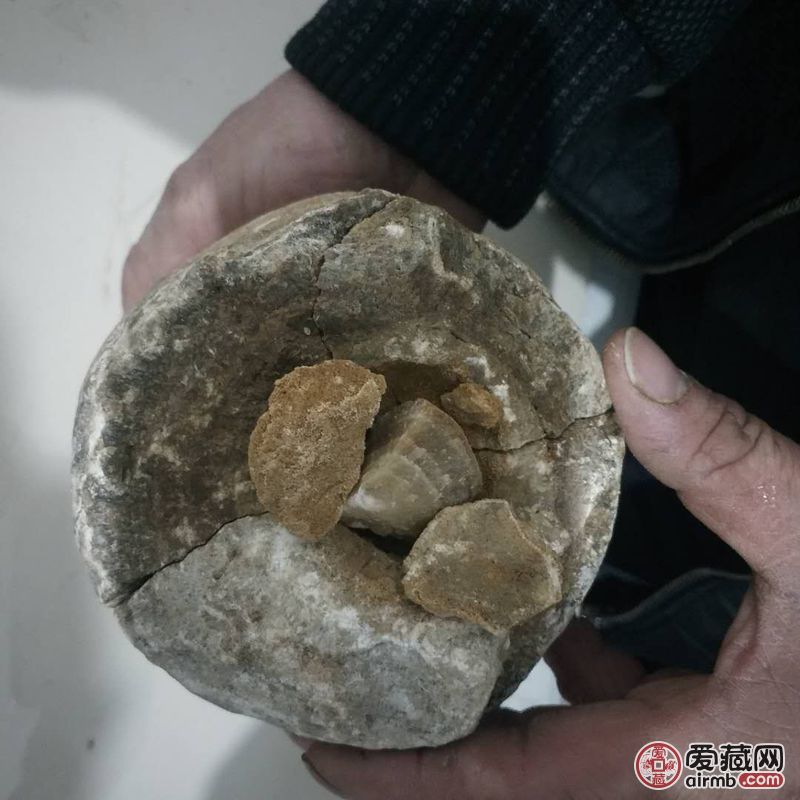 恐龙蛋化石，出于贵州省贞丰县，